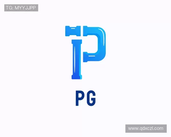 解读pg官方网站